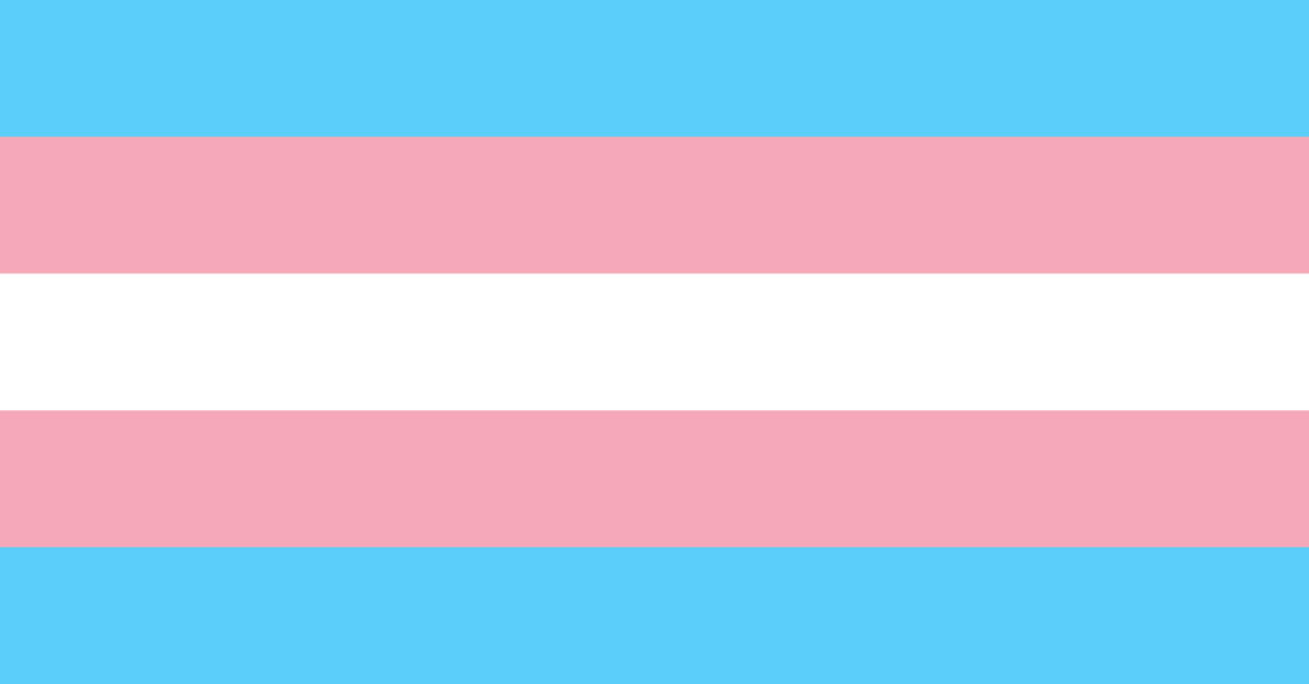 DAN VIDNOSTI TRANSSPOLNIH OSEB (Transgender Day of Visibility – TDoV)